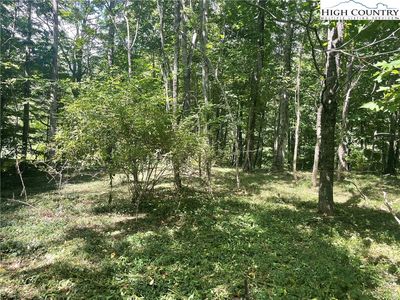 TBD Hillside Drive, Todd, NC, 28684