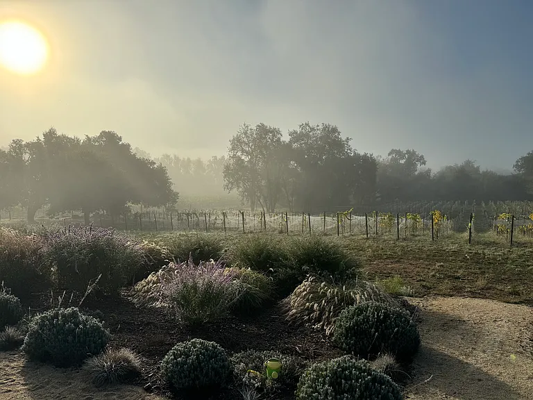 The view on a crisp winter morning
