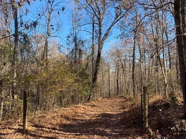 001-00063-009 Brantley Cemetery Rd, Marshall, AR 72650
