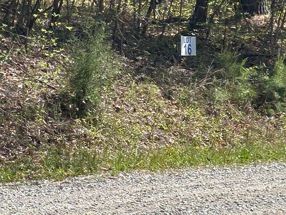 4th image of LOT 27 Jones Ridge Rd