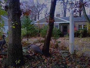 1st image of 2709 N Birchwood Ln