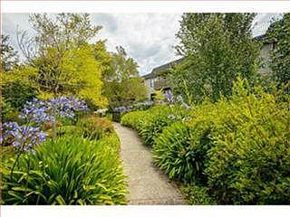 2nd image of 7134 Shelter Creek Ln