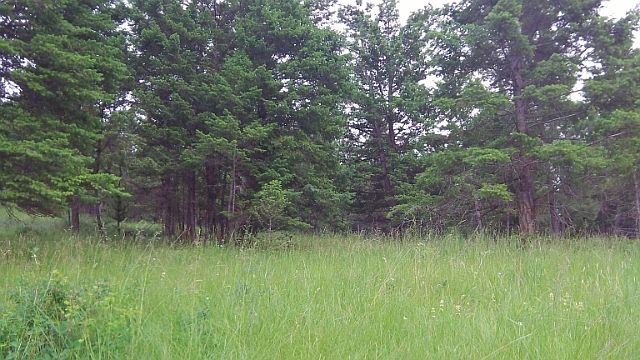 2nd image of 218 Walking Coyote Dr