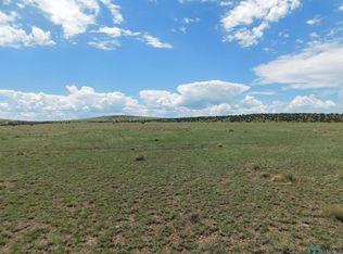 168 Deer Cir, Quemado, NM 87829