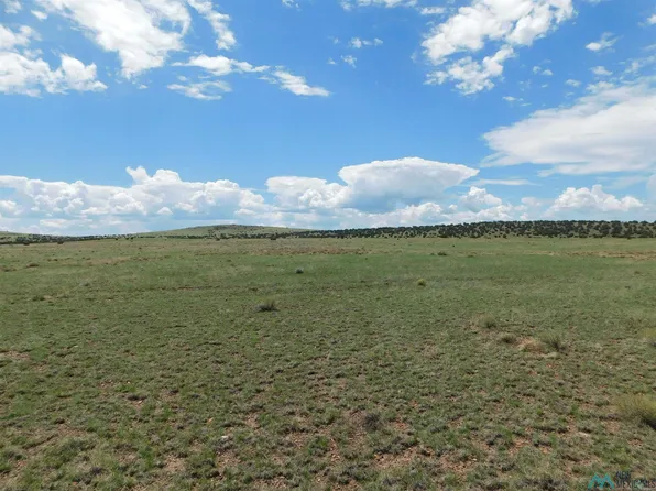 168 Deer Cir, Quemado, NM 87829