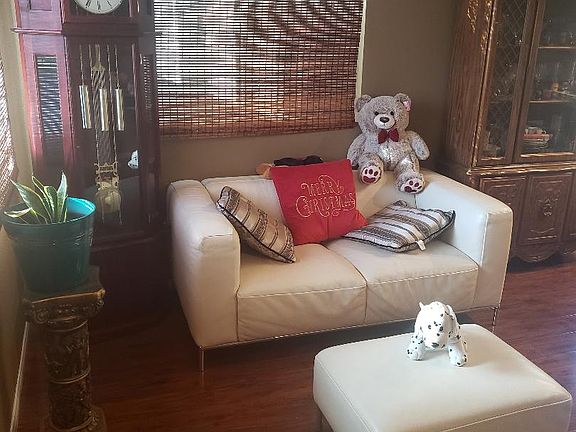 1st guest Living Room