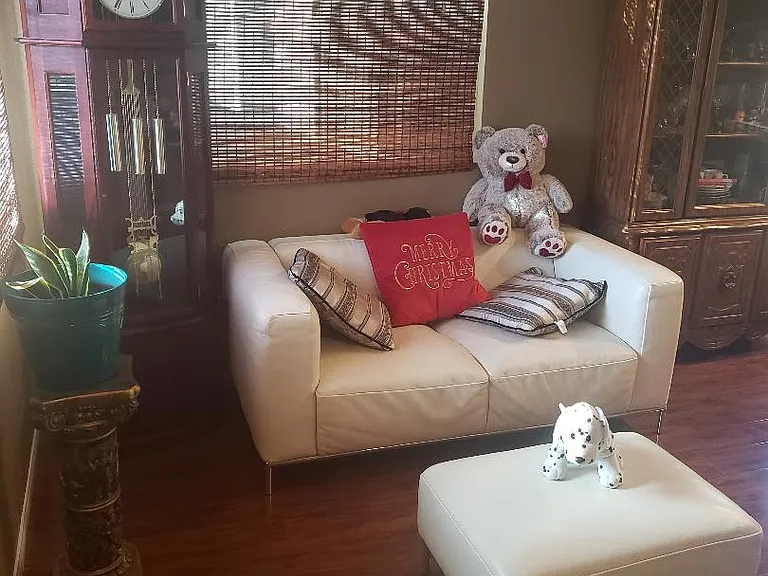 1st guest Living Room