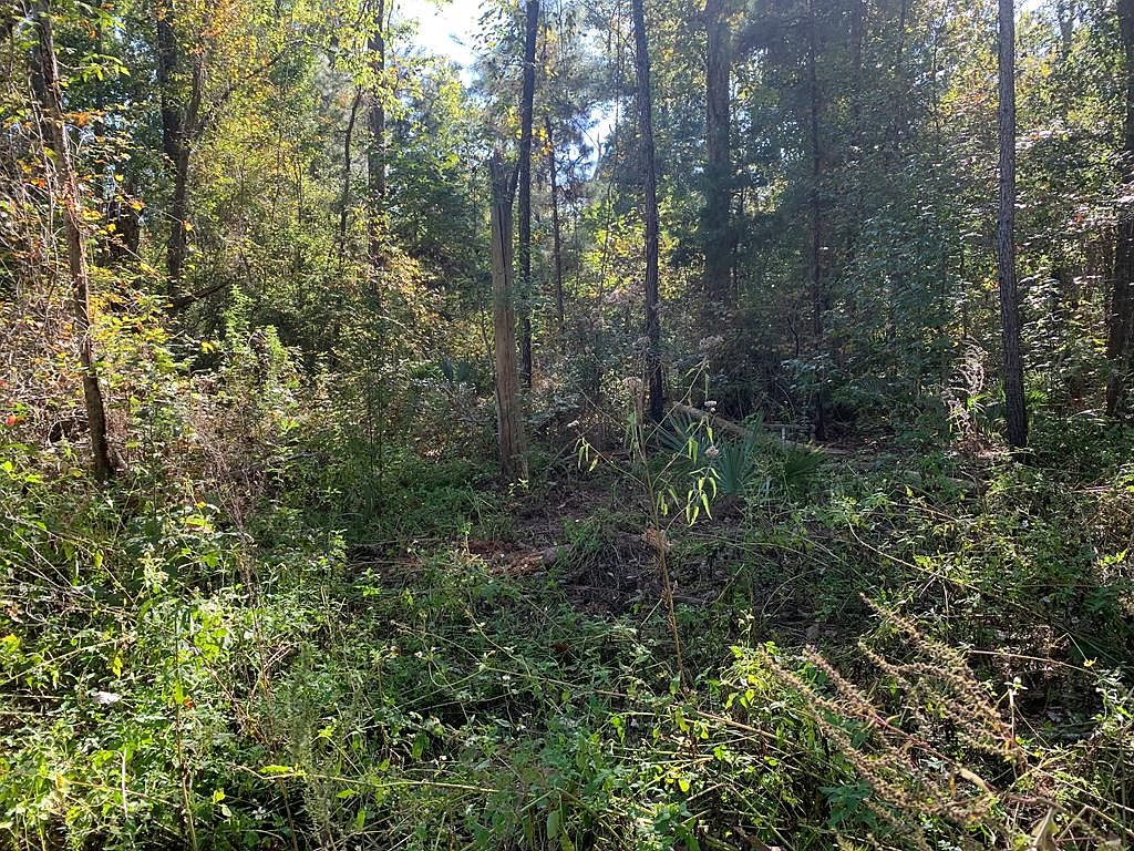 LOT 8 Riverside Cir, Wewahitchka, FL 32465 MLS 315719 Zillow