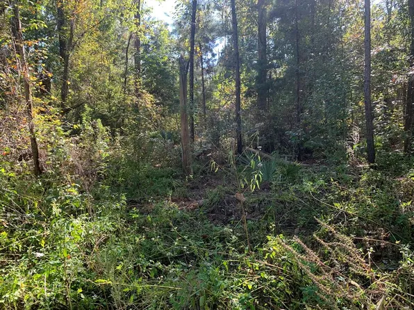 LOT 8 Riverside Cir, Wewahitchka, FL 32465