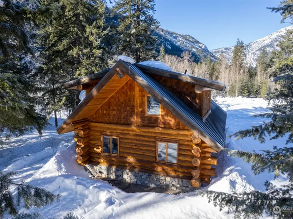9 Buck Circle, Mazama, WA 98833