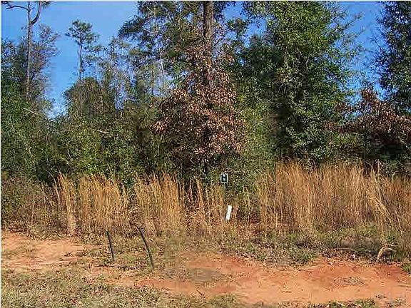 2nd image of 8640 Foxtail Loop #N19