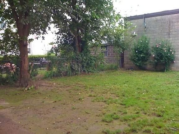 Back yard