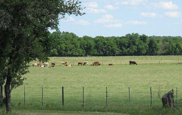 1st image of 151 County Road 3730