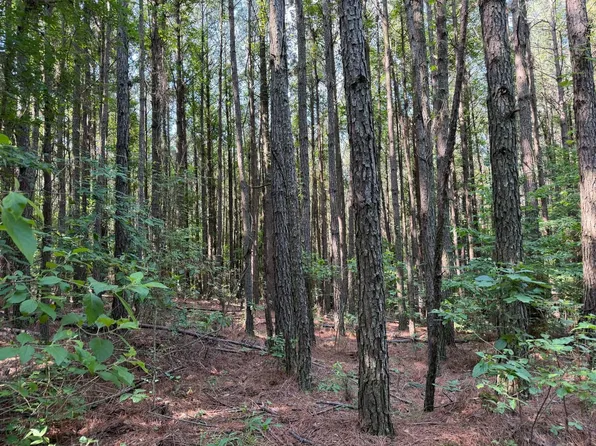0 Hunt Plant Rd, Bernice, LA 71222