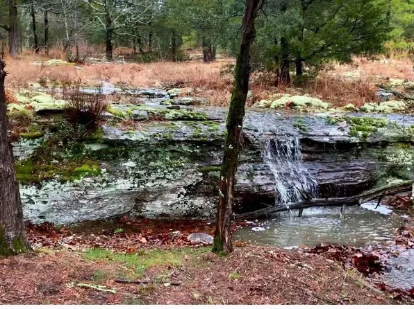 371-10 Pine Crest Trl #5, Calico Rock, AR 72519