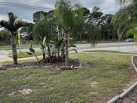 Front Yard