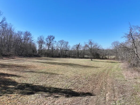 000 Carter 123 Lot 2, Van Buren, MO 63965