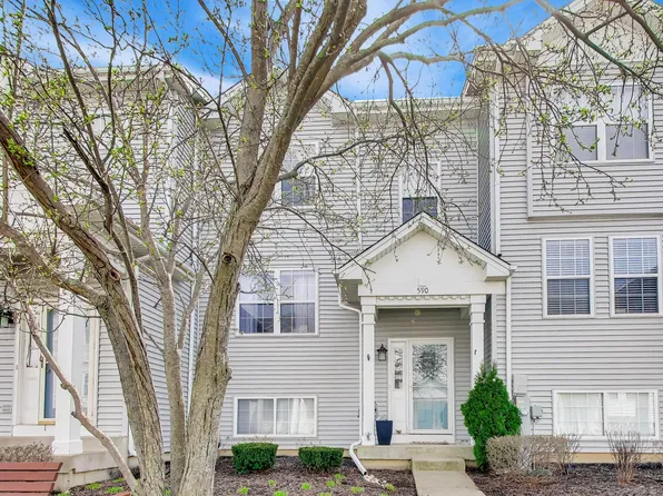 590 N Triumph Ct, Hainesville, IL 60073
