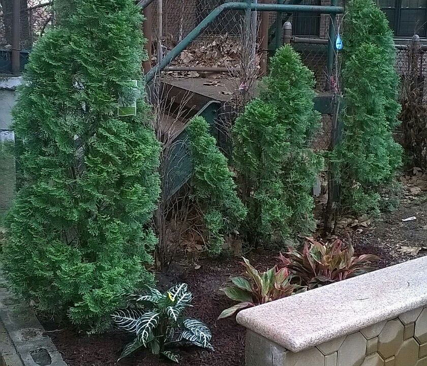 1st image of 14017 84th Dr APT 2C