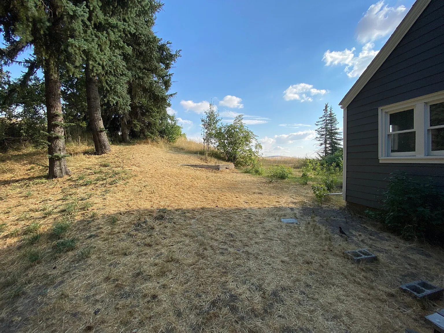 5 bed, 2.5 bath, 2090 sqft, $3,100 — Photo 2