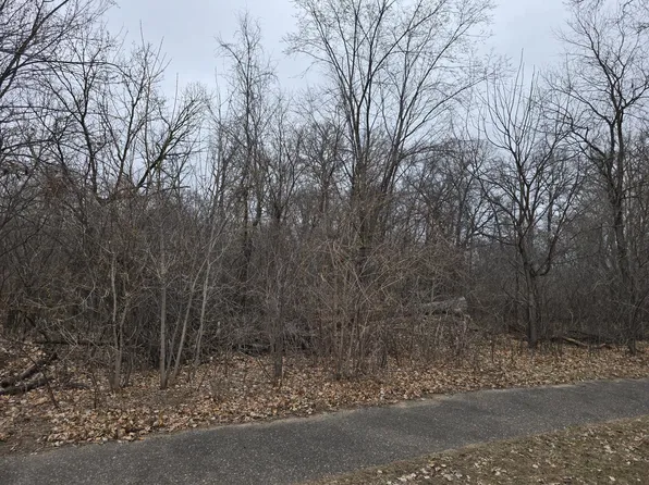 L2 B 288th Ave #2, Zimmerman, MN 55398