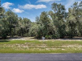3138 Bright Lake Cir LOT 68, Groveland, FL 34736
