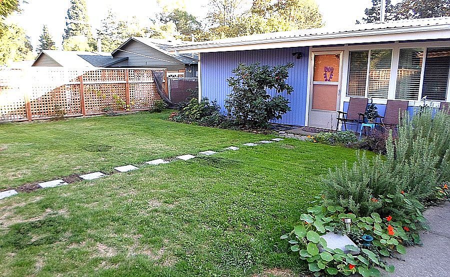 Front yard, mid October.