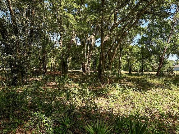 3rd image of 3001 Ponderosa Trl