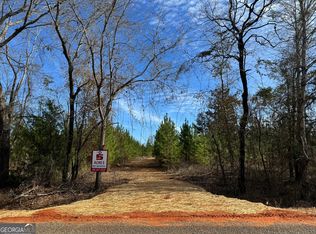 4 Dozier Rd, Ellaville, GA 31806