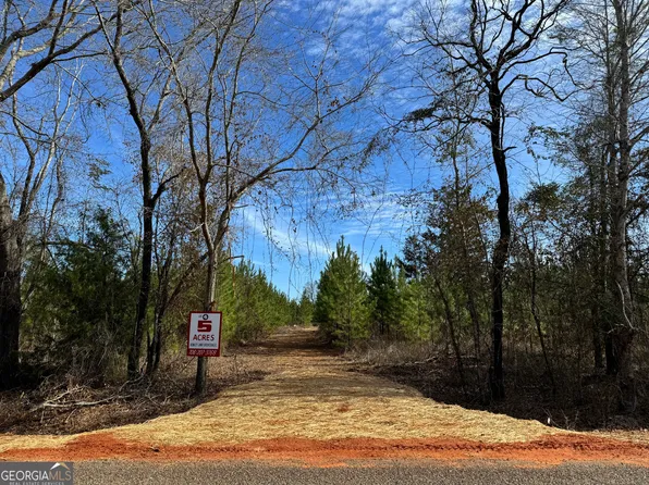 4 Dozier Rd, Ellaville, GA 31806