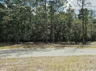 3023 Cabadelo Circle SE LOT 1054, Bolivia, NC 28422