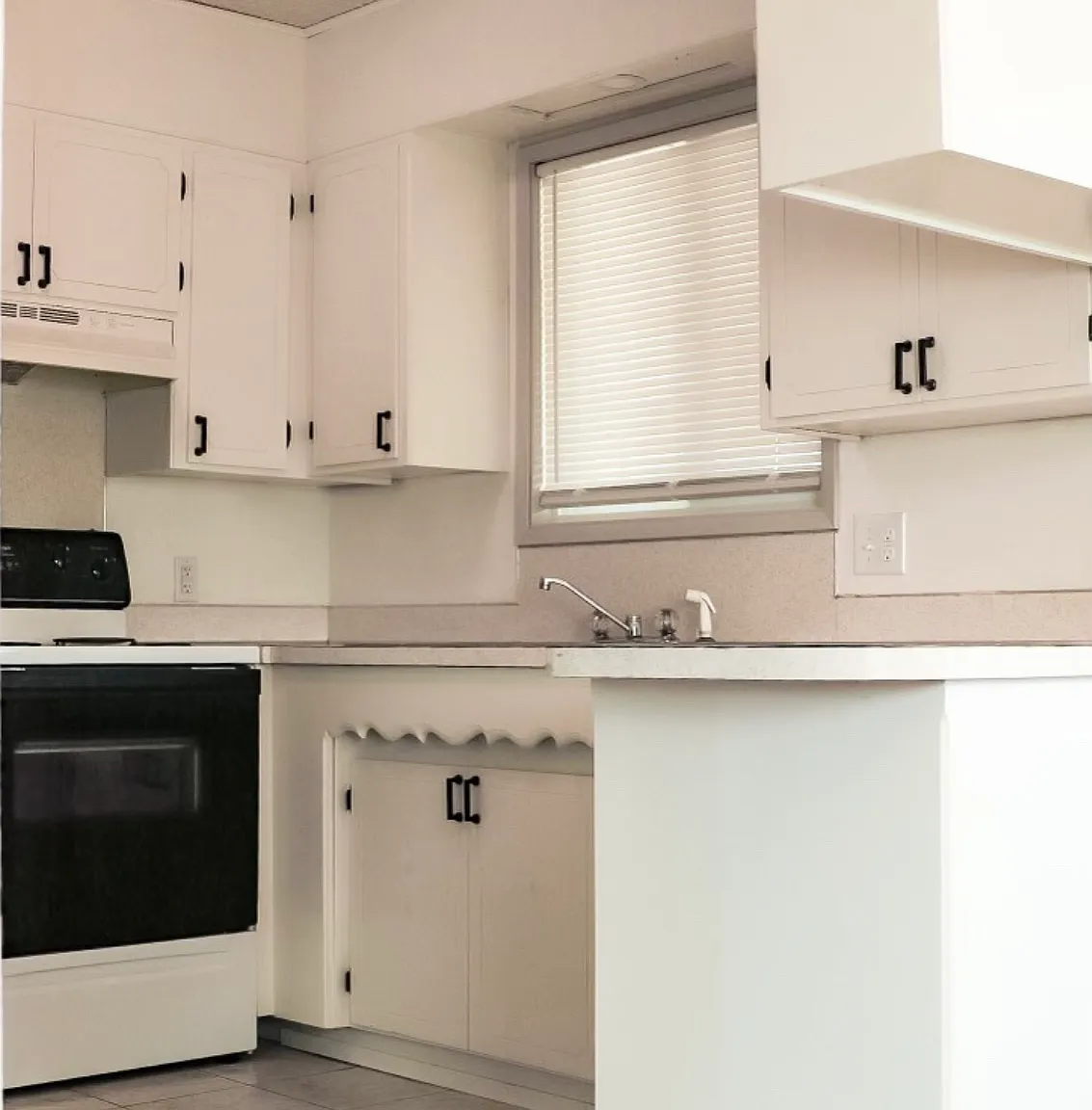 2 bed, 1000 sqft, $1,500 — Photo 3