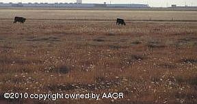 5th image of 300 S Fm 1912