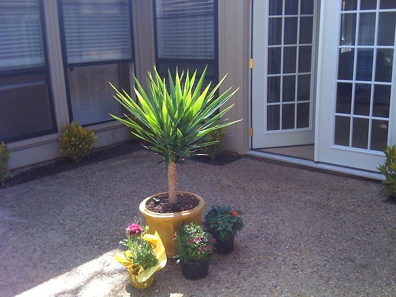 courtyard