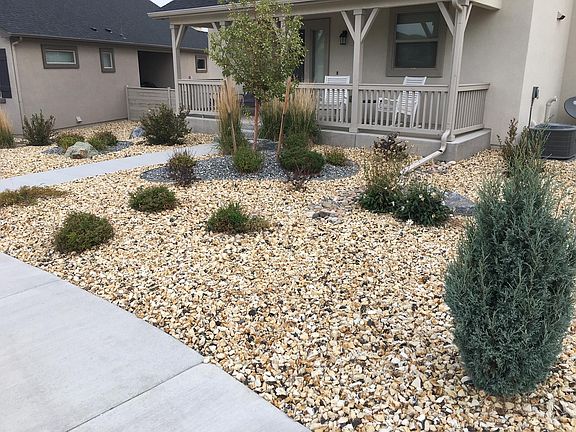 Front Yard - All shrubs and tress are on a timed drip system