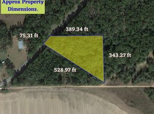 0 NE Old Blue Springs Rd, Lee, FL 32059