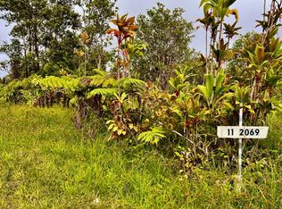 11-2069 Omeka Rd LOT 20, Volcano, HI 96785