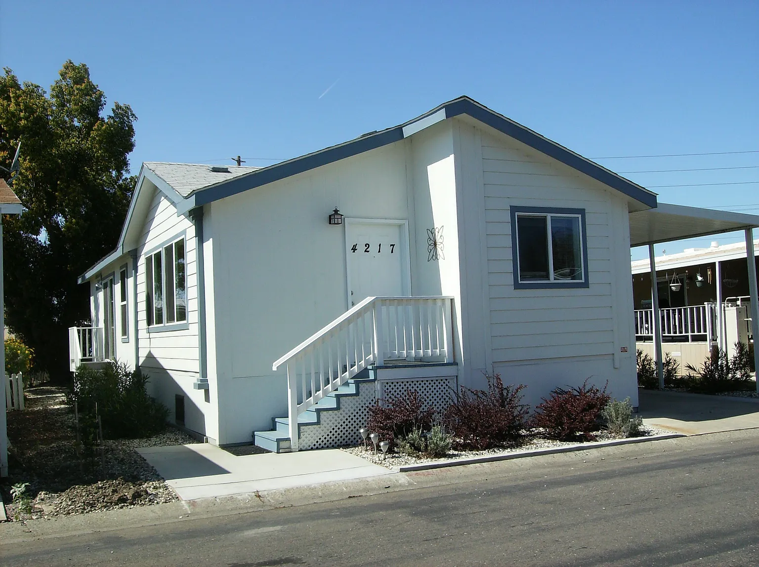 4217 Bouquet Way photo 1