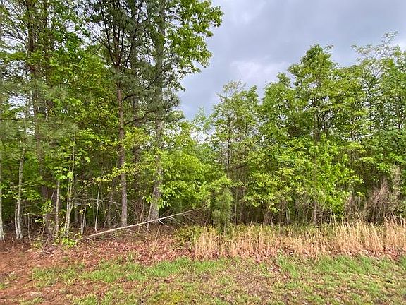 4th image of LOT 29 Preservation Dr Unit 29