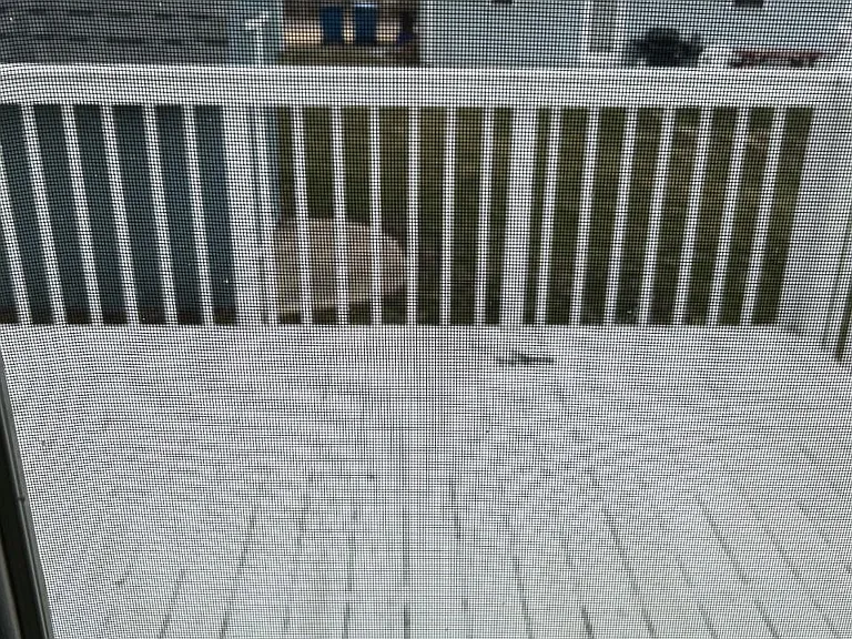 Back porch