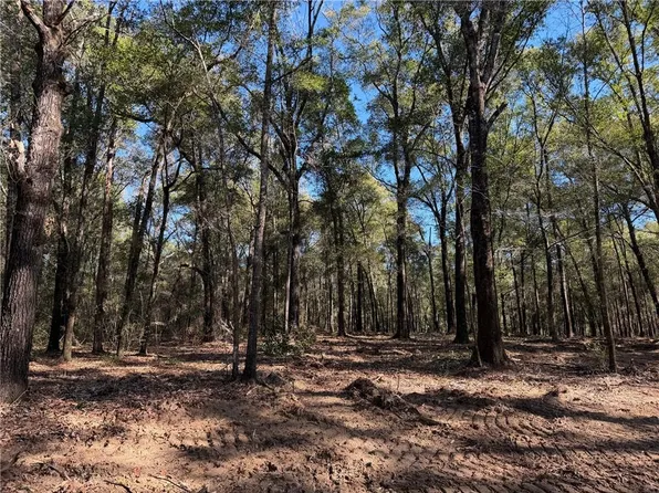 0 Danner Rd Lot 9, Wilmer, AL 36587