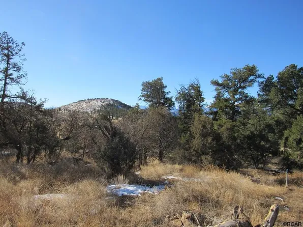 1138 19th Trl, Cotopaxi, CO 81223