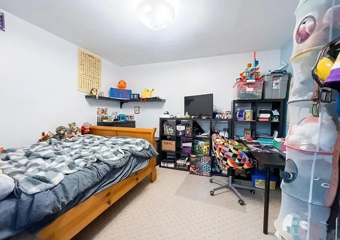 384 Blue Mountain St #BASEMENT — Photo 10