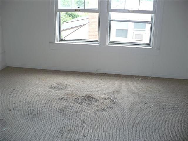 2nd image of 123 Pickett Ave