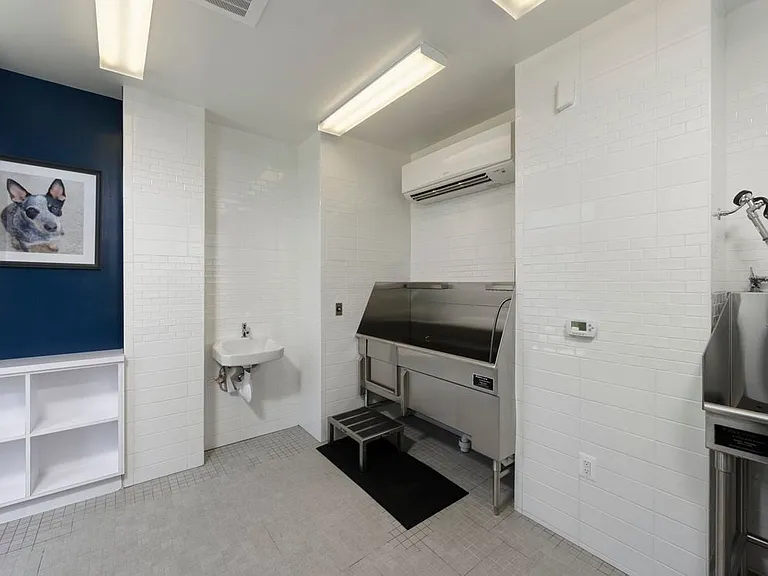 WAG pet spa with bathing area and grooming equipment