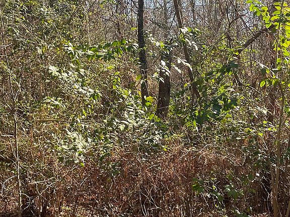3rd image of County Road 2151 Tract 7A