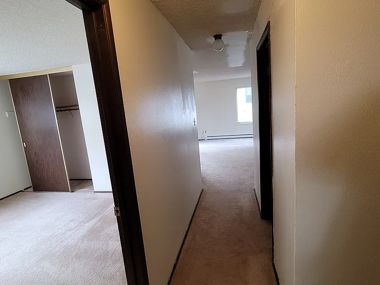 5032 11th Ave NE #4 — Photo 6