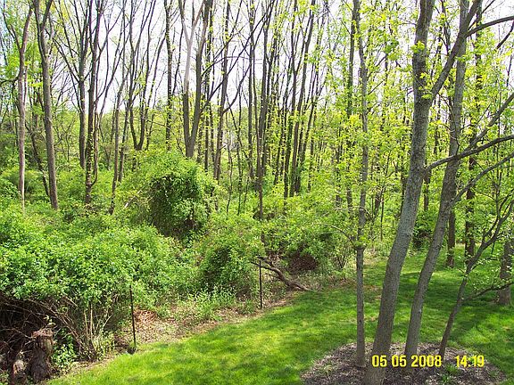 Back yard borders protected woodlands