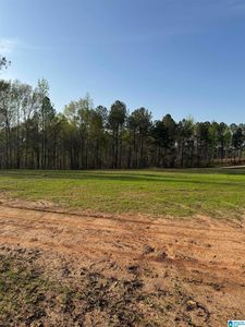 10/- Acres Peace Of Mind Dr #1, Lineville, AL, 36266