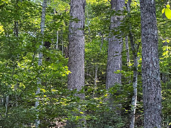 3rd image of 3000 Miller Creek Rd